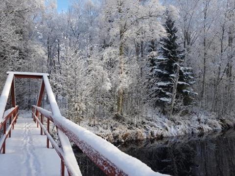 Loevanger Kyrkstad Lovanger Eksteriør bilde